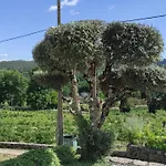 Casa Da Escola مزرعة للإقامة