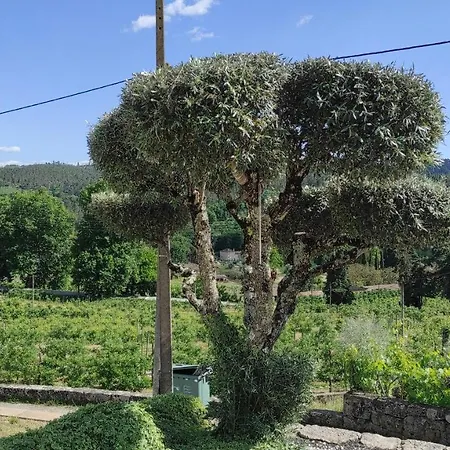 Casa Da Escola Farma