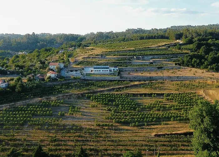 Casa Da Escola Alojamento de Turismo Rural