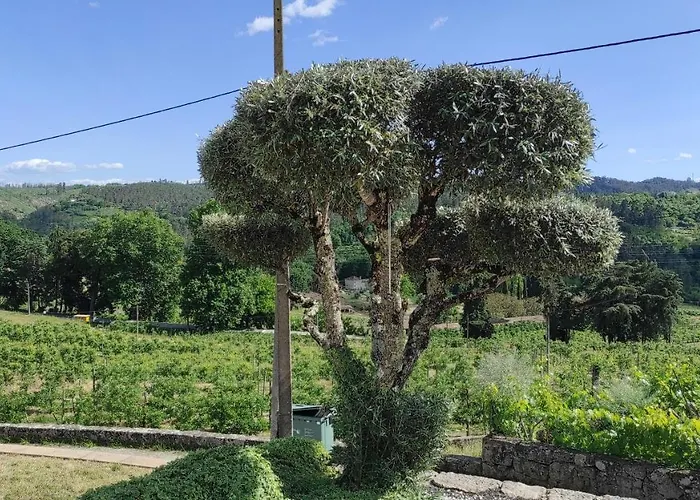 Casa Da Escola Alojamento de Turismo Rural